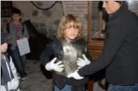 Wandertag Forchtenstein, 15.09.2010