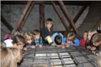 Wandertag Forchtenstein, 15.09.2010