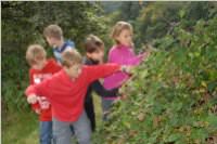 Wandertag Forchtenstein, 15.09.2010