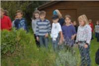 Wandertag Forchtenstein, 15.09.2010