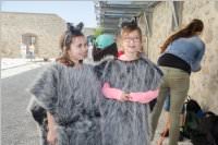 VS: M�rchenprojekt in Forchtenstein, 07.06.2016