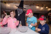 VS: M�rchenprojekt in Forchtenstein, 07.06.2016