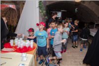 VS: M�rchenprojekt in Forchtenstein, 07.06.2016