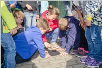Forschertag in der VS Neufeld, 19.05.2016