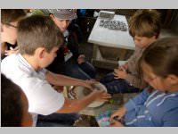 VS Neufeld am Keltenfest, 16.06.2014