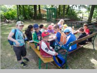 VS Neufeld am Keltenfest, 16.06.2014