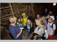 VS Neufeld am Keltenfest, 16.06.2014