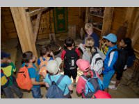 VS Neufeld am Keltenfest, 16.06.2014