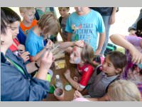 VS Neufeld am Keltenfest, 16.06.2014