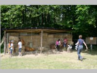 VS Neufeld am Keltenfest, 16.06.2014