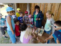 VS Neufeld am Keltenfest, 16.06.2014