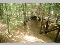 VS Neufeld am Keltenfest, 16.06.2014