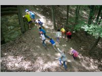 VS Neufeld am Keltenfest, 16.06.2014