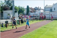 Kids-Olympiade der VS Neufeld, 20.06.2017
