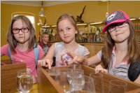 VS: Wunderwelt Energie in Lackenbach, 10.06.2015
