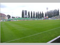 Volkssch�ler beim Match Mattersburg vs. Liefering, 20.09.2013