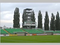 Volkssch�ler beim Match Mattersburg vs. Liefering, 20.09.2013