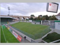 Volkssch�ler beim Match Mattersburg vs. Liefering, 20.09.2013