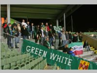 Volkssch�ler beim Match Mattersburg vs. Liefering, 20.09.2013