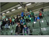 Volkssch�ler beim Match Mattersburg vs. Liefering, 20.09.2013