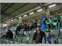 Volkssch�ler beim Match Mattersburg vs. Liefering, 20.09.2013