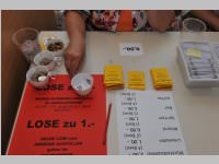 Schulfest der VS Neufeld, 07.06.2013