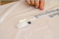 Schulfest der VS Neufeld, 17.06.2016