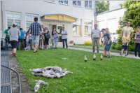 Schulfest der VS Neufeld, 17.06.2016