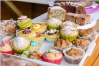 Schulfest der VS Neufeld, 17.06.2016