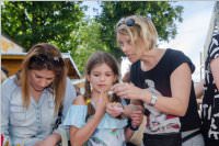 Schulfest der VS Neufeld, 17.06.2016