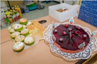 Schulfest der VS Neufeld, 09.06.2017