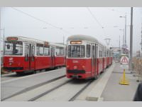 VS 3. Klassen bei Straenbahn und Christkindlmarkt, 19.11.2013