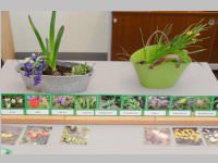 Tag der offenen T�r in der VS Neufeld, 26.03.2014