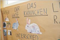 Tag der offenen T�r in der VS Neufeld, 14.01.2016