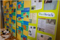 VS Neufeld: Klassenabend der Wilden Tiere, 25.05.2016