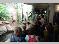 VS Neufeld im Haus des Meeres und Zoom, 11.06.2013