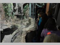 VS Neufeld im Haus des Meeres und Zoom, 11.06.2013