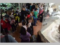 VS Neufeld im Haus des Meeres und Zoom, 11.06.2013