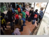 VS Neufeld im Haus des Meeres und Zoom, 11.06.2013