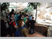 VS Neufeld im Haus des Meeres und Zoom, 11.06.2013