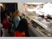 VS Neufeld im Haus des Meeres und Zoom, 11.06.2013