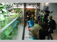 VS Neufeld im Haus des Meeres und Zoom, 11.06.2013