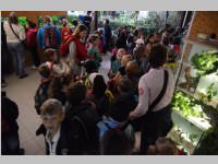 VS Neufeld im Haus des Meeres und Zoom, 11.06.2013