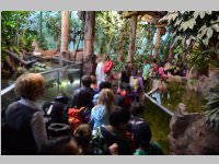 VS Neufeld im Haus des Meeres und Zoom, 11.06.2013