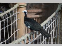 VS Neufeld im Haus des Meeres und Zoom, 11.06.2013