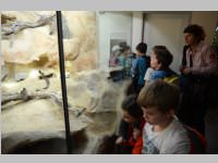 VS Neufeld im Haus des Meeres und Zoom, 11.06.2013