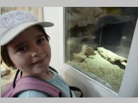 VS Neufeld im Haus des Meeres und Zoom, 11.06.2013