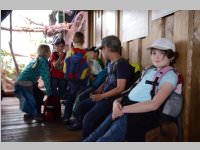 VS Neufeld im Haus des Meeres und Zoom, 11.06.2013