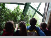 VS Neufeld im Haus des Meeres und Zoom, 11.06.2013