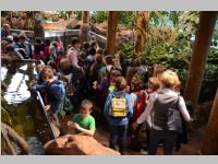 VS Neufeld im Haus des Meeres und Zoom, 11.06.2013